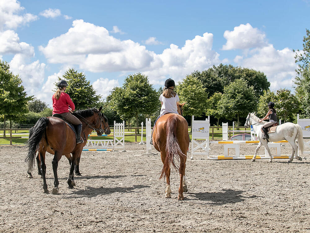 Campsite Castel Camping Les Ormes, Domaine & Resort DOL DE BRETAGNE Brittany 13