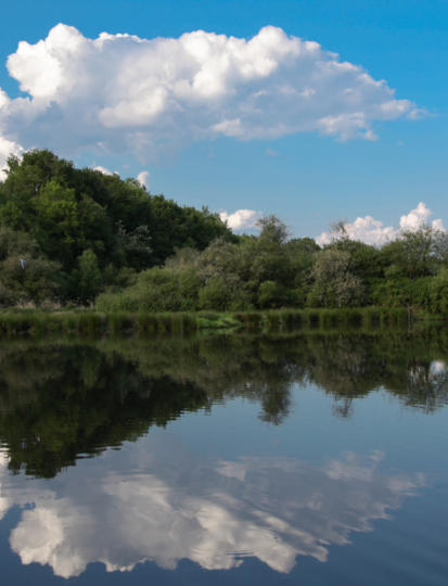 What to do in Sologne